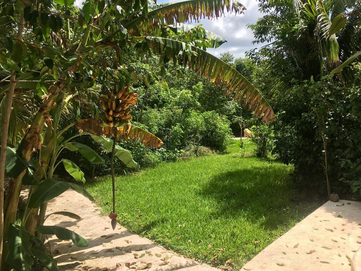 Hotel Casa Maya Calakmul Chicanna Esterno foto